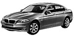 BMW F10 P1E06 Fault Code